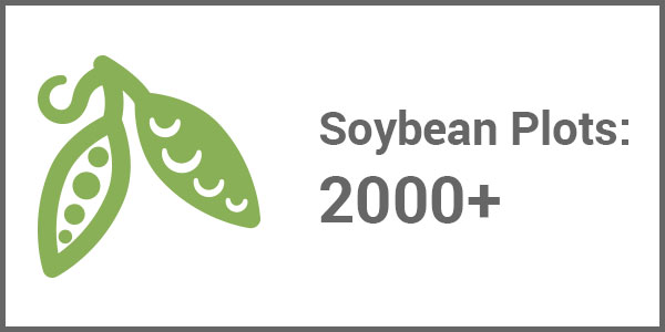 Soybean Plots 2000+